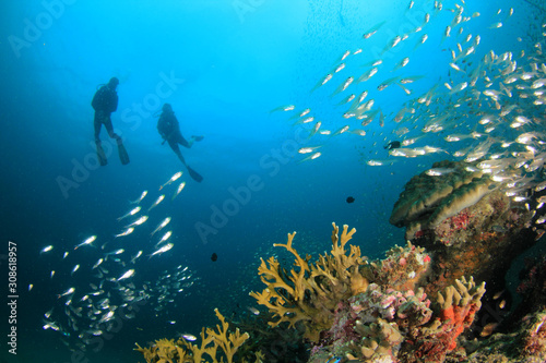 Scuba dive underwater coral reef  © Richard Carey