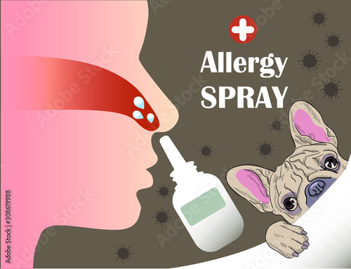 Allergy nose spray. The scheme of treatment of the nose.  Allergy to dogs and animal wool. Modern medicine