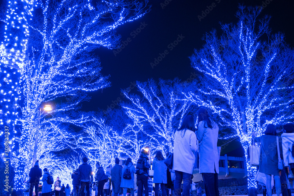 Φωτογραφία Blue Cave Illumination in Shibuya, Tokyo　青の洞窟イルミネーション 渋谷