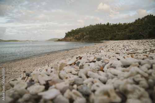 Twilight at Coral Beach near Shute Harbour in Queensland. Beach full of shells and coral, majestic and beautiful