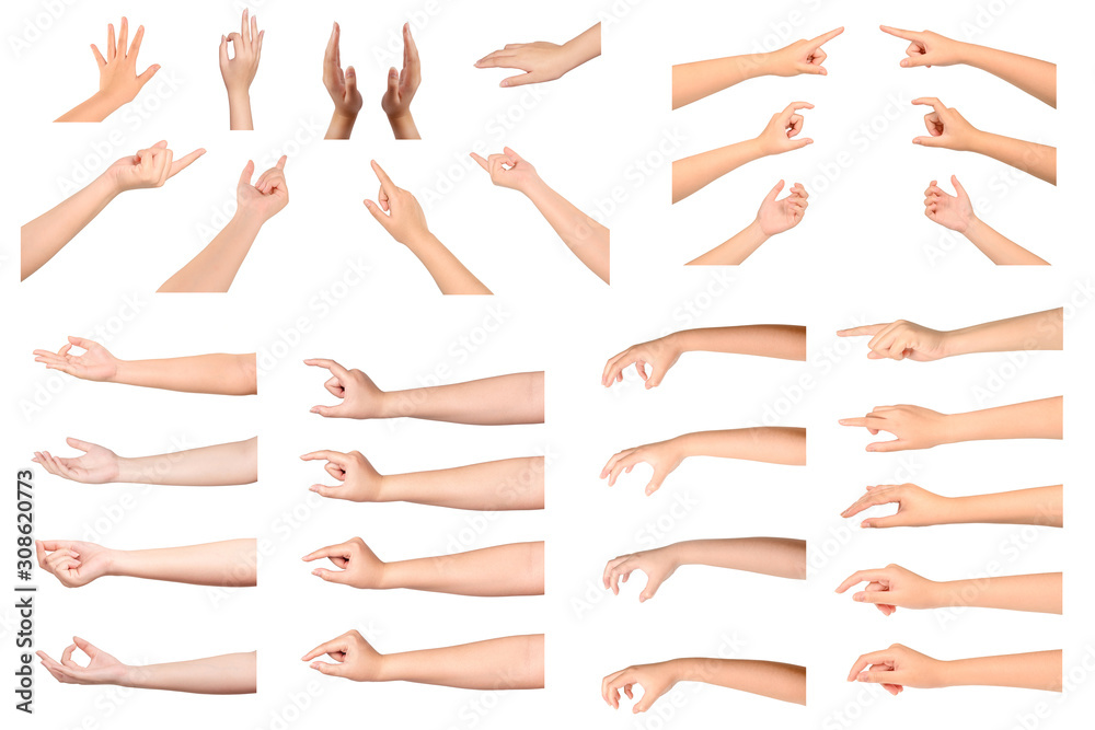 Set of  Woman hands gestures isolated  on white background.