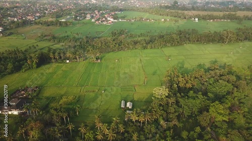 Wallpaper Mural Flying high in the sky and you see a beautiful ricefield next to Ubud. Torontodigital.ca
