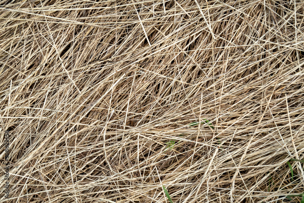 Dry flat grass hay agriculture background. Dry flat grass hay agriculture background.