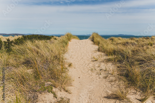sand and grass path leading to Seven Mile Beach in Tasmania  Australia