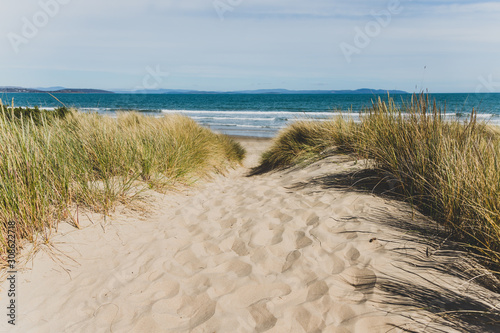 Fototapeta Naklejka Na Ścianę i Meble -  sand and grass path leading to Seven Mile Beach in Tasmania, Australia