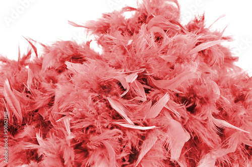 Multi-colored fluffy feathe...