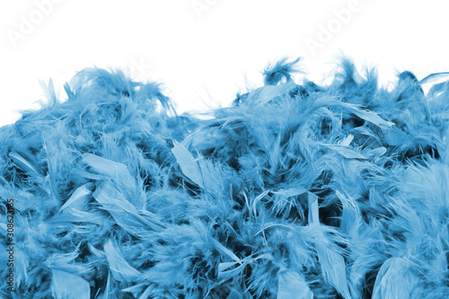 Multi-colored fluffy feathe...