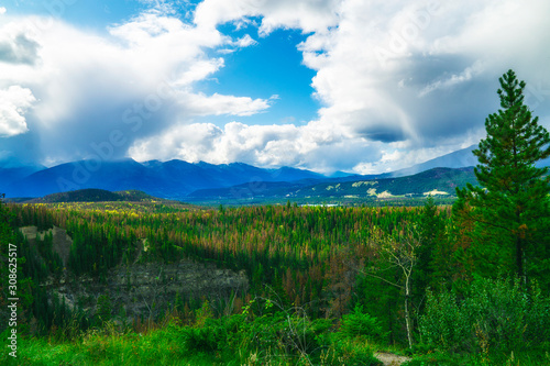 Beautiful Vast Canadian Forest Landscape