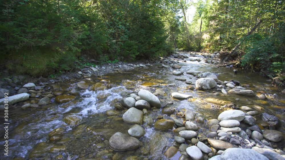 4K landscape. Mountain stream ,river in wood, picturesque stones. Sunny day 4K landscape. Mountain stream ,river in wood, picturesque stones. Sunny day