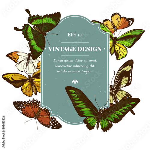 Badge design with colored cethosia biblis, ornithoptera croesus lydius, hebomoia glaucippe, papilio palinurus, stichophthalma howqua, danaus chrysippus, trogonoptera brookiana, papilio torquatus