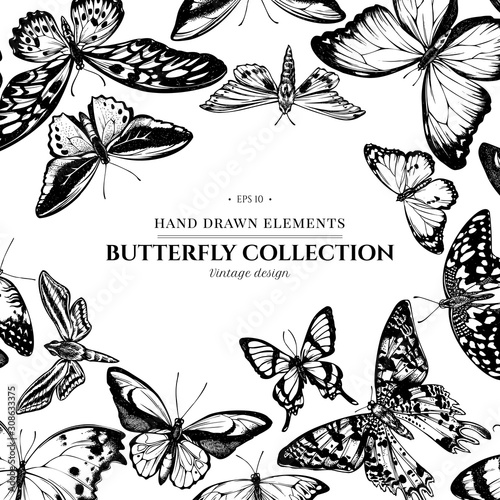 Design with black and white papilio ulysses, morpho menelaus, graphium androcles, morpho rhetenor cacica, papilio demoleus, cethosia biblis, papilio antimachus, alcides agathyrsus, ornithoptera photo