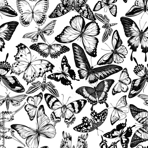 Seamless pattern with black and white papilio ulysses, morpho menelaus, graphium androcles, morpho rhetenor cacica, papilio demoleus, cethosia biblis, alcides agathyrsus, ornithoptera priamus photo