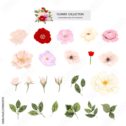 Set of floral branch. Flower and rose design element for wedding logo. Floral poster, Vector arrangements for greeting card or invitation design template vector