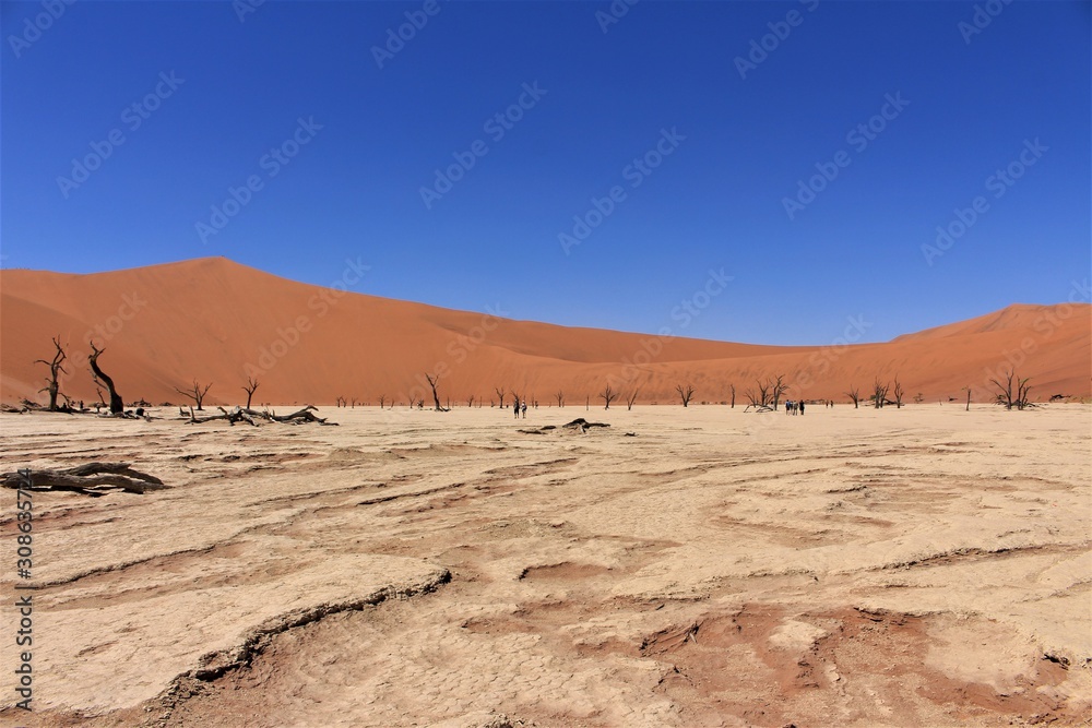 Landscape view of dead vlei in namib naukluft nationalpark, sossusvlei, namibia Landscape view of dead vlei in namib naukluft nationalpark, sossusvlei, namibia