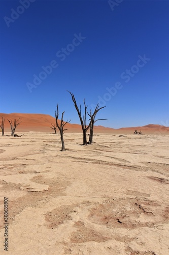 Landscape view of dead vlei in namib naukluft nationalpark  sossusvlei  namibia