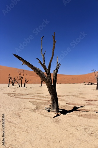 Landscape view of dead vlei in namib naukluft nationalpark, sossusvlei, namibia
