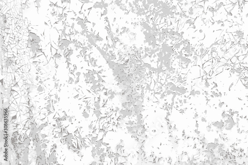 Grunge old paint vector black and white texture