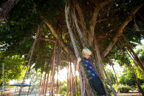 Portrait of young boy wearing Christmas shirt playing on swing made of fig tree roots covered in mistletoe  photo