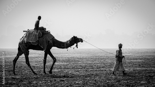 Man riding camel at river bank