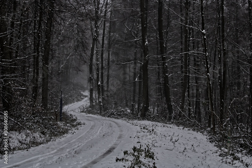 Winter Wald