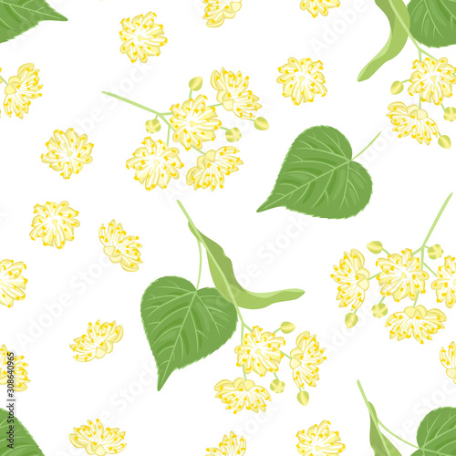 Sprigs of blooming linden with green leaves on white background. Floral seamless pattern. Vector illustration of linden tree in cartoon simple flat style.