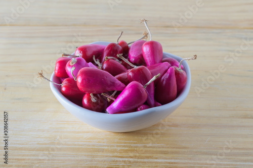 Close up Pink Acid Pitigüey tropical Fruit from Melocactus plant on white vasse. Wooden Background photo