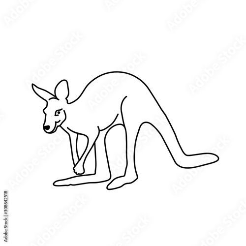 funny vector vector kangaroo. line drawing illustration. black and white mammal. animal logo. simple icon. baby doodle. cartoon character