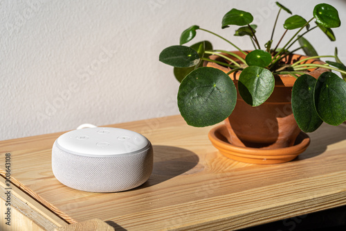 VIENNA,AUSTRIA - December 4 2019: Amazon Alexa Echo on a wooden bench with green plants in the background