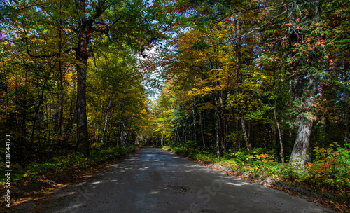A Beautiful Mountain Road in Autumn