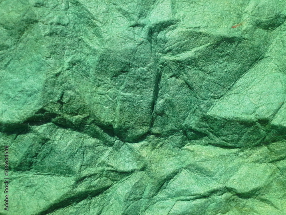 Obraz premium texture of green leaf