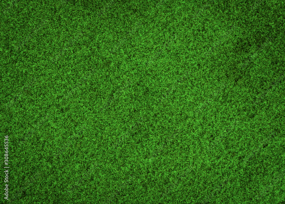Fototapeta szczegółowe charakter tła zielonego piasku. w tle