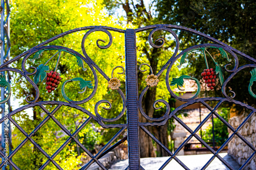 Iron door to a Lebanon church with grape ornate