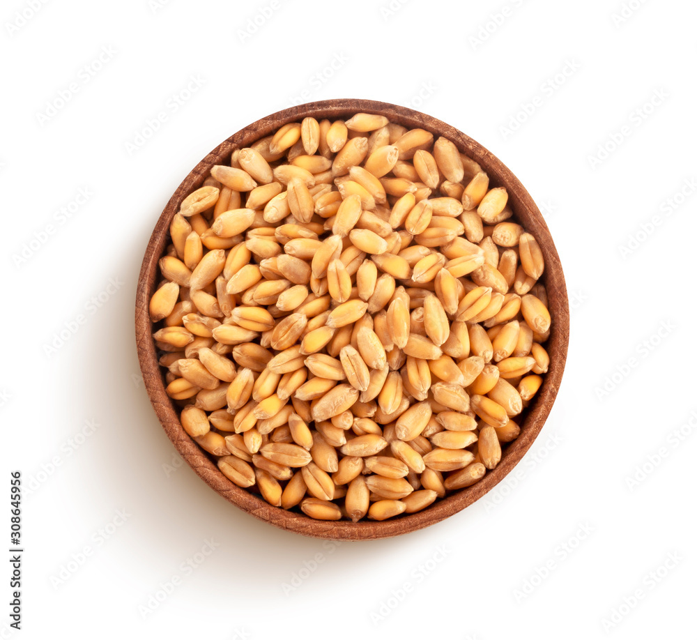 Wheat grains isolated on white background, top view Wheat grains isolated on white background, top view