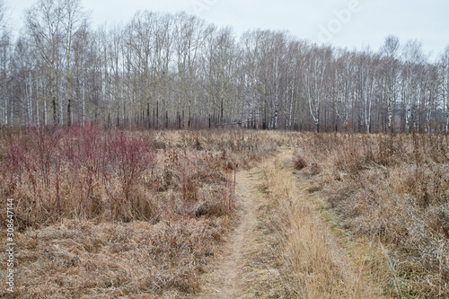 Wallpaper Mural Yellow landscape in autumn cloudy day with field full of dry grass and road Torontodigital.ca