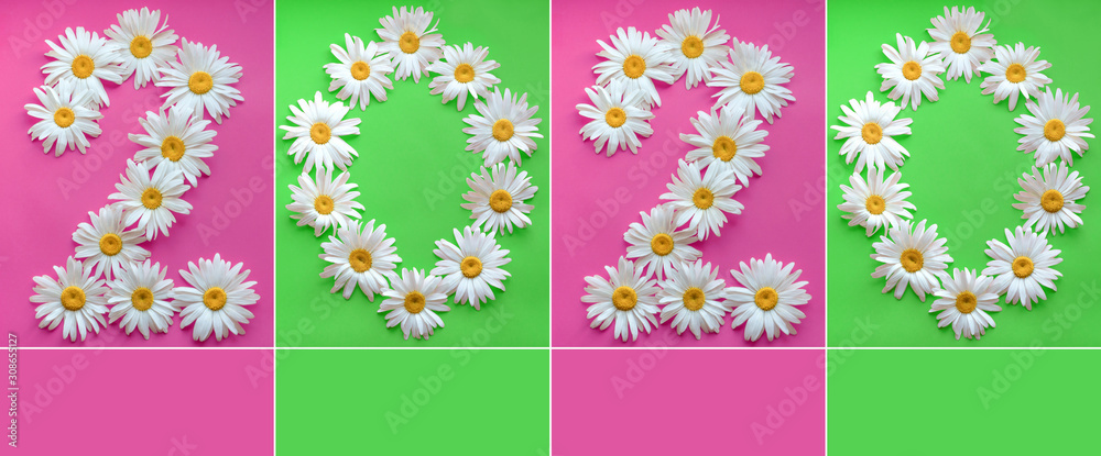 Inscription 2020 from fresh daisies on a colored background. 0, 2, arabic numeral. Happy New Year 2020. Large daisies create a number 2 and 0 on green and pink background