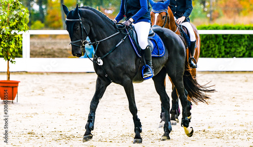 Beautiful girl on black horse in jumping show, equestrian sports. Horse and girl in uniform going to jump. Two riders. Horizontal web header or banner design.