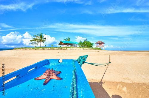 Starfish on a Boat at Coab Island of East Palawan - Philippines. Tiny litle island next to City of Roxas. photo