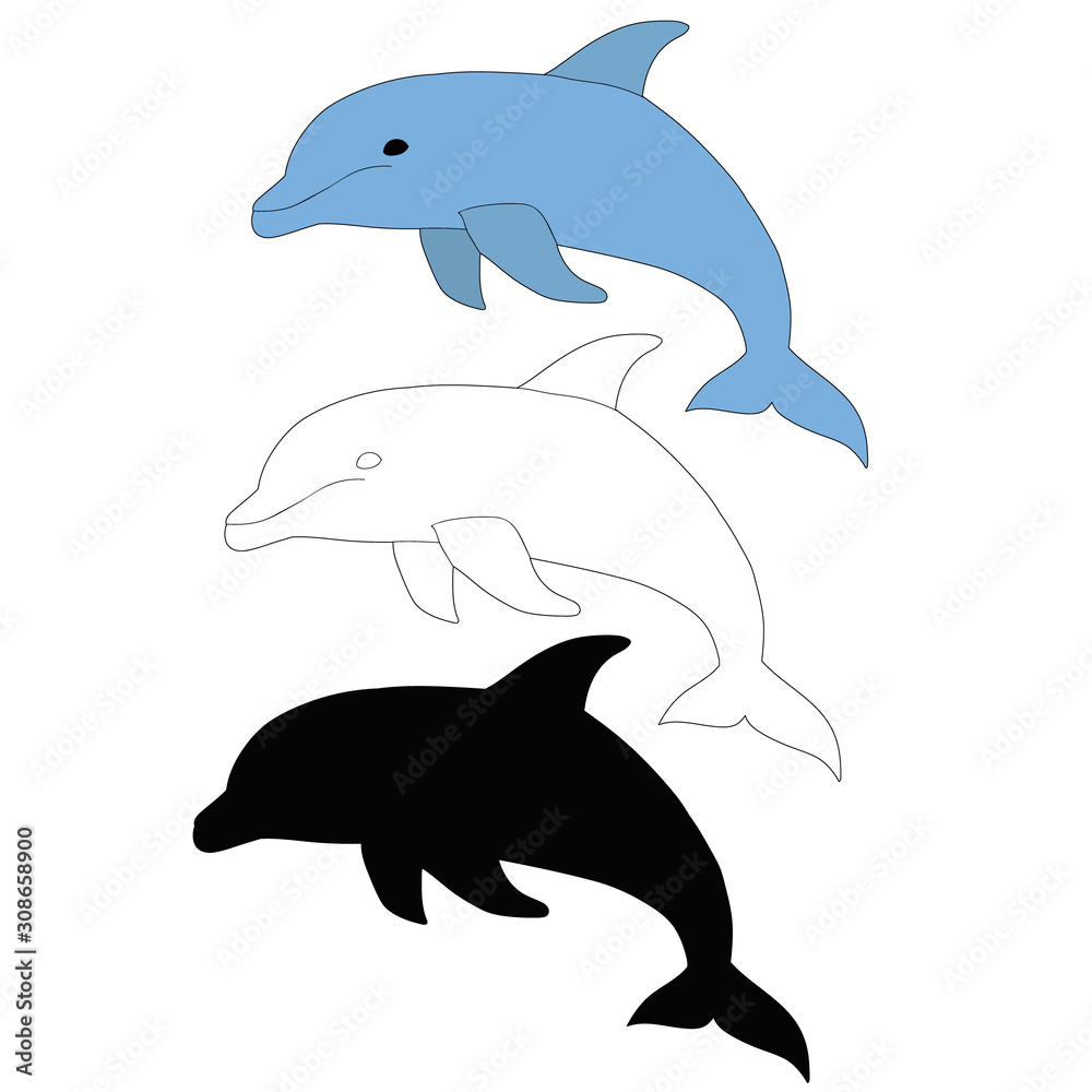 Fototapeta premium vector, isolated, dolphin, with silhouette and contour