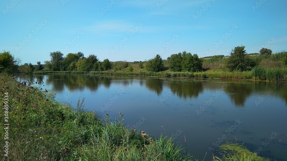 River with green shores and reeds. Photo of a beautiful river with green banks. River with green shores and reeds. Photo of a beautiful river with green banks.