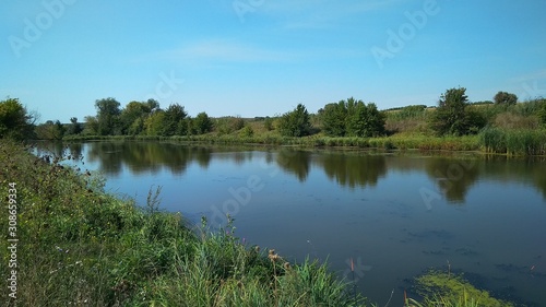 River with green shores and reeds. Photo of a beautiful river with green banks.