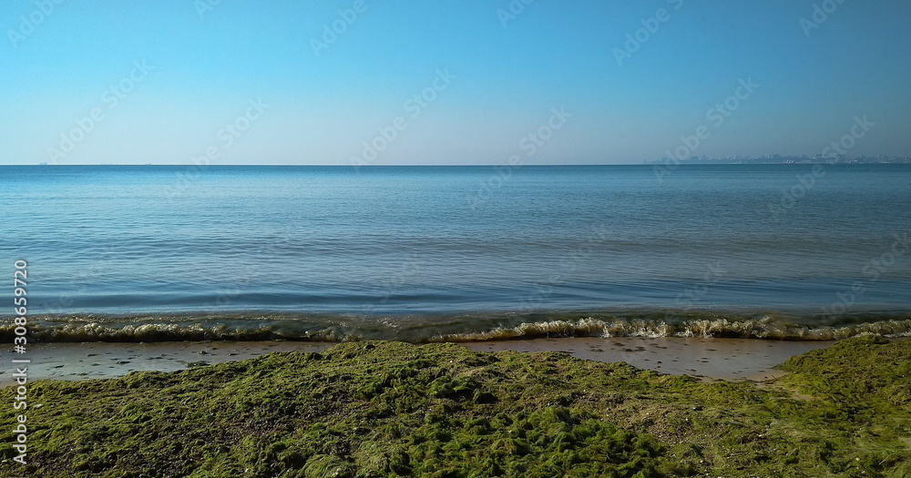 Seascape with sandy beach and green algae on the shore. Seascape with blue sea and sand. Photograph of the sea.