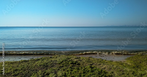 Seascape with sandy beach and green algae on the shore. Seascape with blue sea and sand. Photograph of the sea.