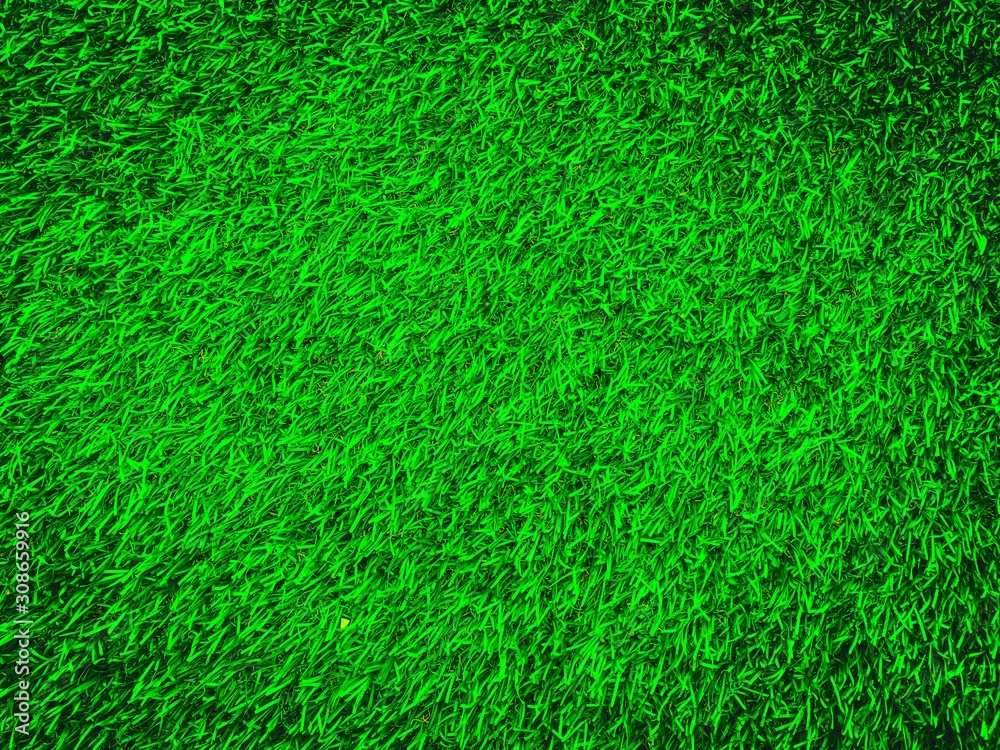 Green lawn texture background for design Green lawn texture background for design