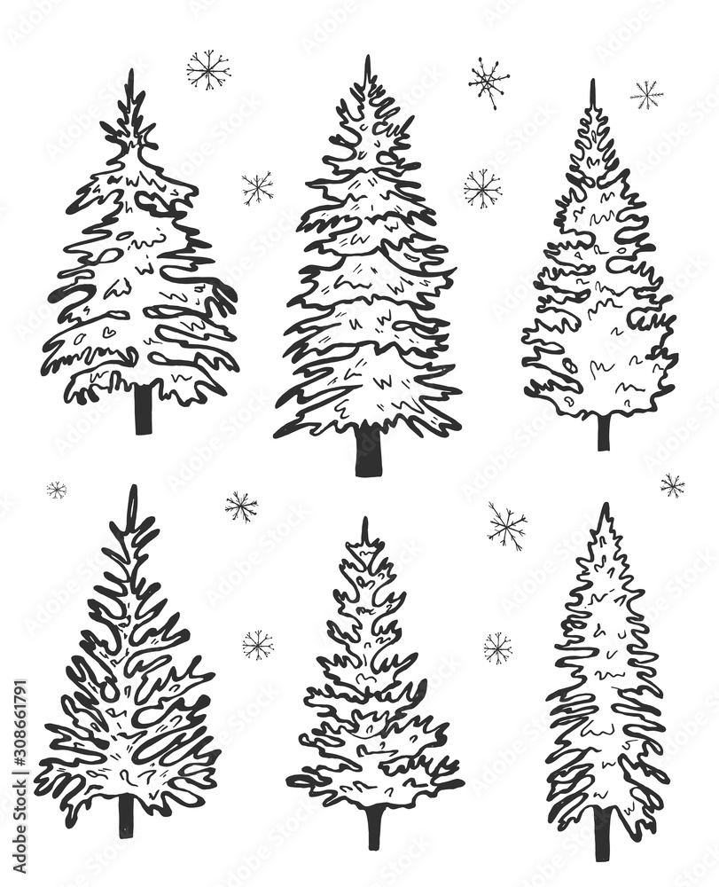 Fototapeta premium set of spruce.vector graphics. hand drawing. eps