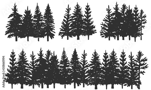 silhouettes of spruce. winter forest. Vector graphics. Eps