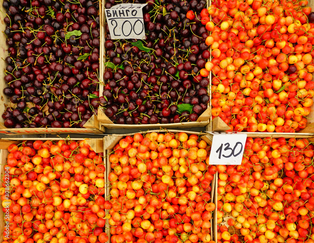Fresh red and yellow cherries at a farmers market Fresh red and yellow cherries at a farmers market