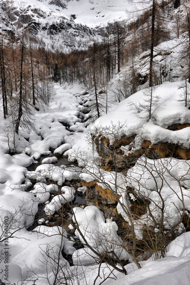 Fototapeta premium Alpine mountain river in winter on a cloudy day