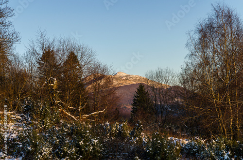 Fototapeta Naklejka Na Ścianę i Meble -  połonina Caryńska Bieszczady