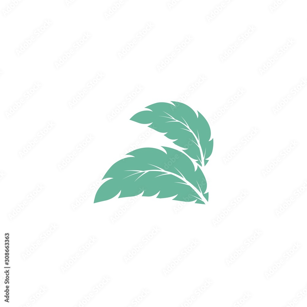 Obraz premium Mint leaves flat vector color icon