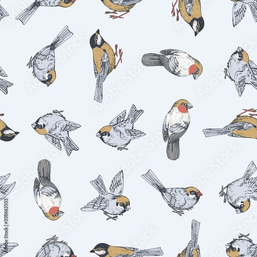 Seamless vector pattern with sparrow, tit, bullfinch
